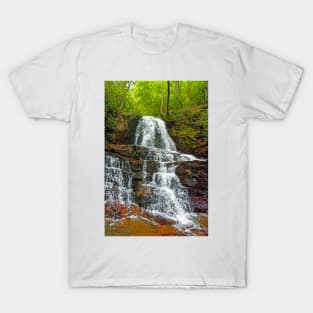 Laurel Falls, Great Smoky Mountains T-Shirt